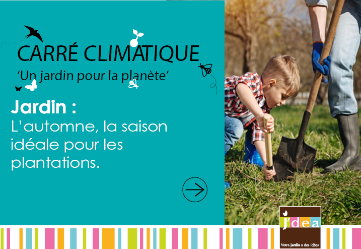 L’automne, la saison idéale pour les plantations